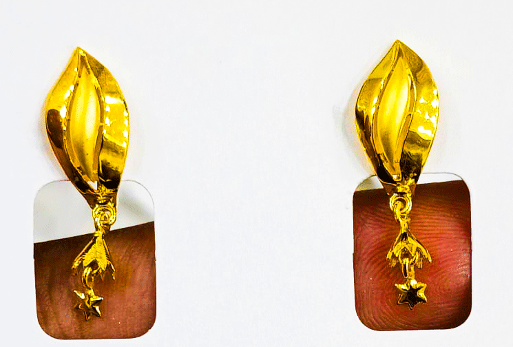 Modern 22K Gold Earrings for Women's